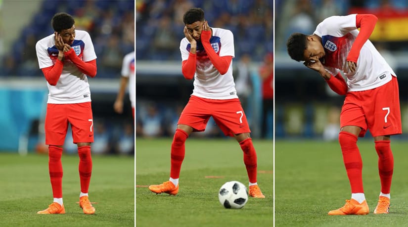 England Tunisia World Cup insects Jesse Lingard
