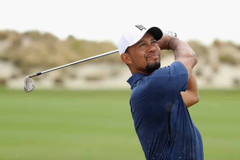 Tiger Woods Golf
