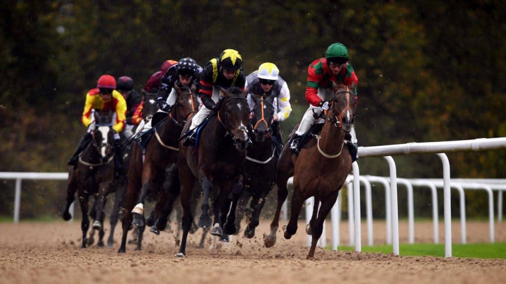 Horse Racing Wolverhampton
