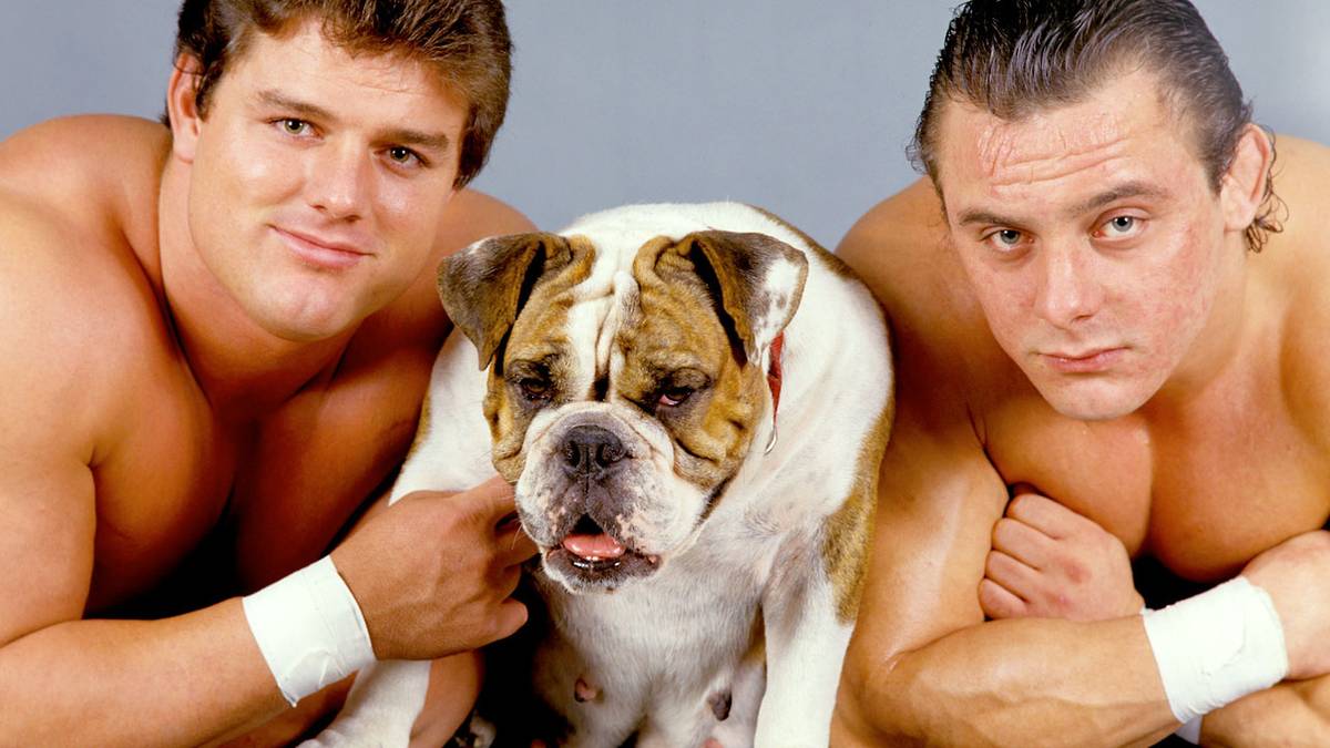 Davey Boy Smith és Dynamite Kid megalakították a British Bulldogs-t a WWE-ben.