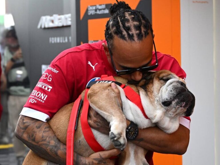 Hamilton learned “what unconditional love means” from Roscoe