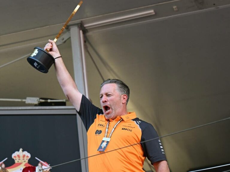 Zak Brown: “There was no room for error”